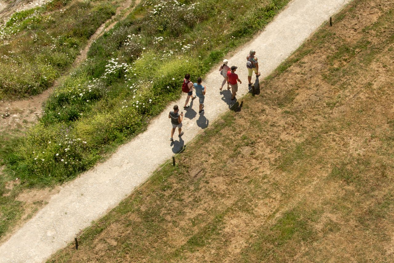 Aerial shot of a group of people walking on a nature trail surrounded by grass and wildflowers.